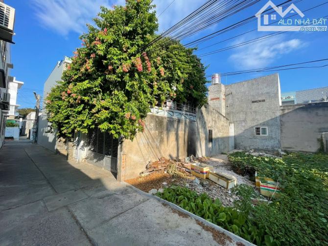 Bán 164m2 hẻm bê tông Phan Trung, Phú Thuỷ, giáp Ocean Dunes - 1