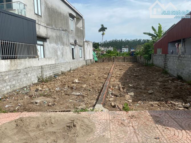 139,3m2 trục thôn Cẩm La, Thanh Sơn, Kiến Thuỵ - 1