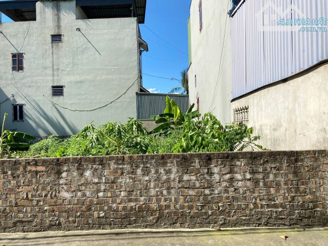 BÁN ĐẤT PHÚC LỢI DT 55M2, MT5.8M, Ô TÔ CÁCH 10M, NGÕ THÔNG, CHỦ NHIỆT BÁN - 1