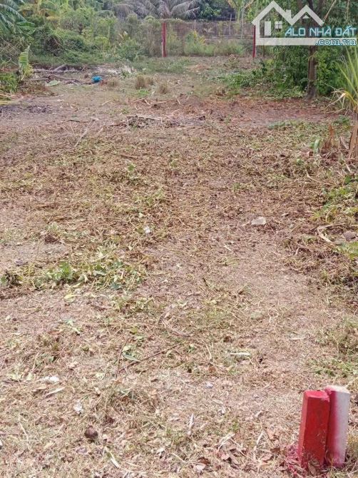 151m đất thổ cư mặt tiền đường Trường Học cách 830 chỉ 200m, cách Cảng quốc tế 10 phút - 1