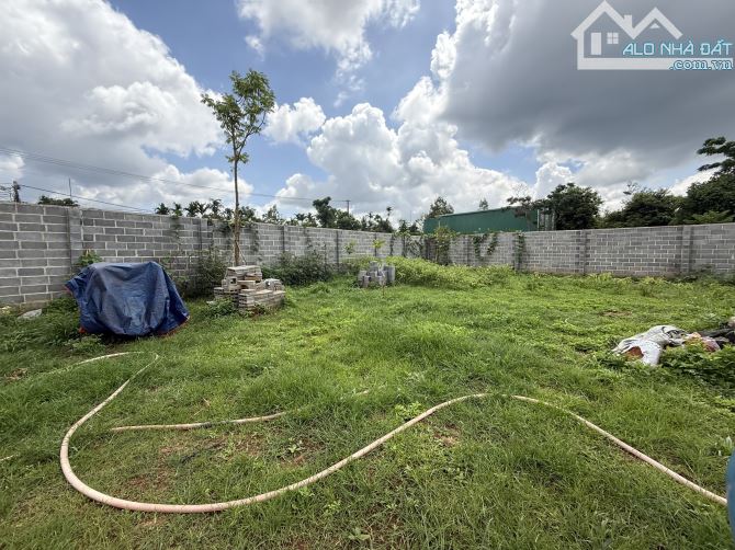 300m2 ĐẤT LÀM NHÀ VƯỜN NGUYỄN XUÂN NGUYÊN: 4.25 tỷ - 1