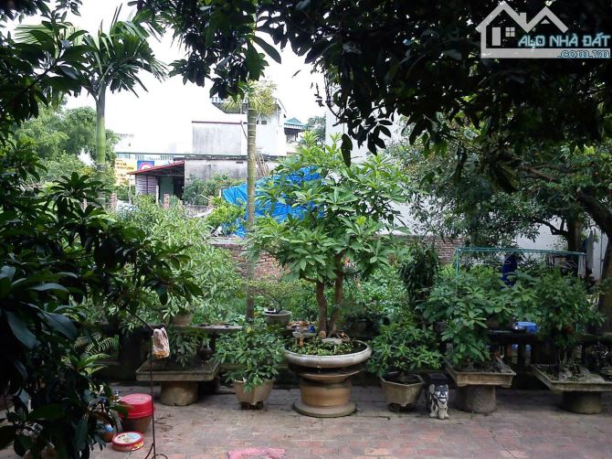 Chính chủ cần bán gấp lô đất thổ cư Yên Nghĩa Hà Đông Hà Nội - 1