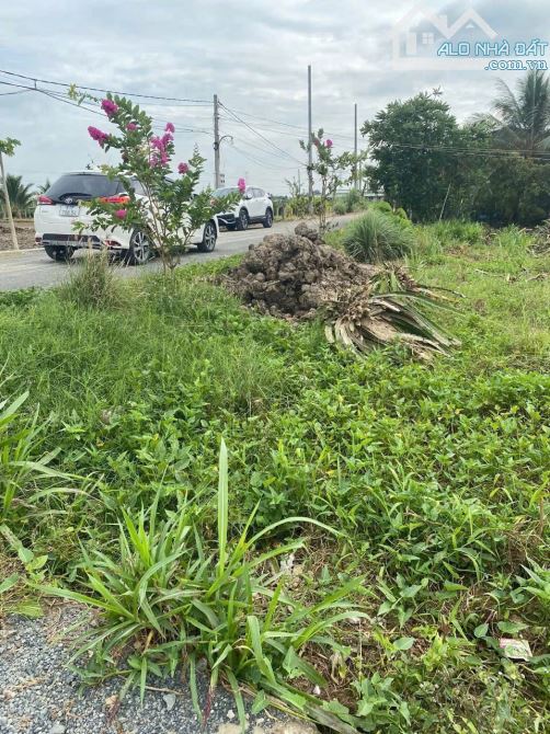 5×25 thổ đường nhựa Nguyễn văn dư bình lãng tân trụ_Long an 579 triệu giá rẻ - 2