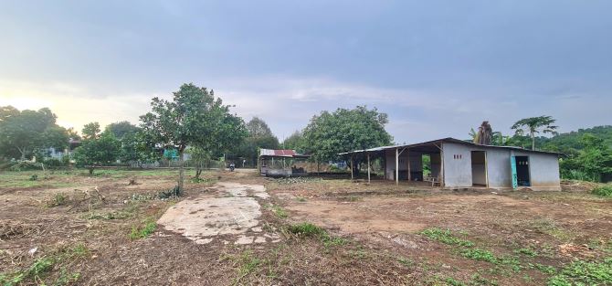 Bán Đất 6.773m2 QH Đất ở, có 300m2 thổ cư, view suối, đồi, trong KDC gần Chợ, Trường Học - 2