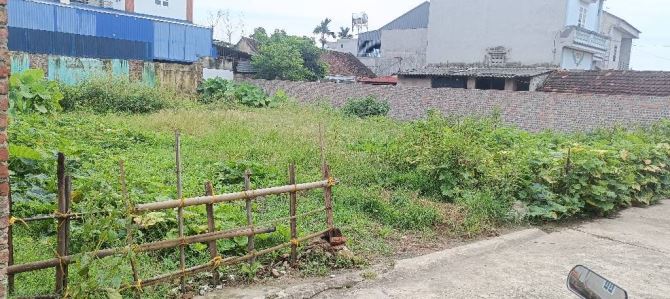 Bán Đất-Xã Minh Phú-(Sóc Sơn )-389M2 -14T/1M2-Đường Rộng Thông OTO-Dân Cư Đông Đúc. - 2