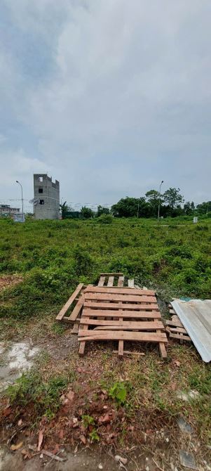 Bán đất DV Đồng Mai-Hà Đông. 50m2, không vướng hố ga, tủ điện. chủ cần bán gấp. - 2