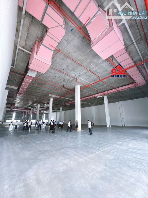 XT403 Cho thuê xưởng 3Ha mới 100% Đạt Chuẩn Hạng A Quốc Tế -KCN Nhơn Trạch Tỉnh Đồng Nai . - 3