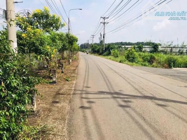 Chủ Định Cư Nước Ngoài Cần Bán Gấp Vườn 3.500m² Gần TP Long Khánh Chỉ 1,9 Triệu/m² - 3