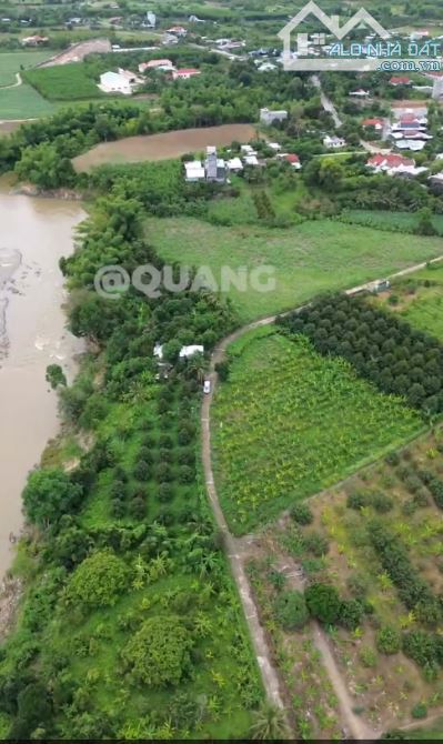 🌳 BÁN ĐẤT VEN SÔNG – KHÍ HẬU TUYỆT VỜI TẠI SÔNG CẦU- GẦN TỈNH LỘ 2 DIÊN KHÁNH🌿🍈 - 3