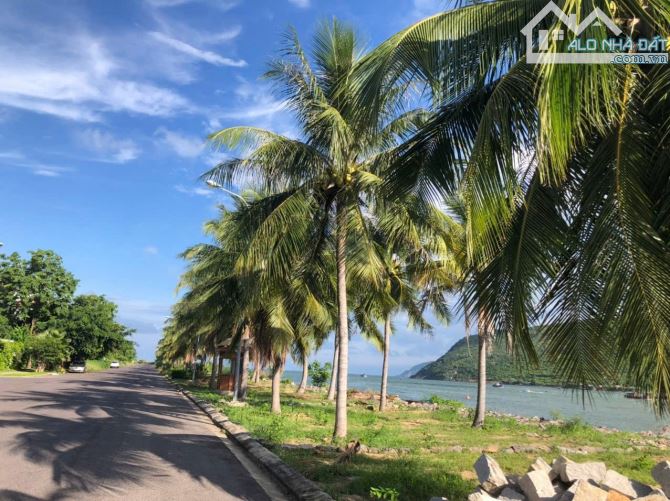 Bán lô đất Vip mặt tiền biển An Viên,Khu biệt thự Vip nhất Tp Nha Trang.Diện tích: 528m2 - 3