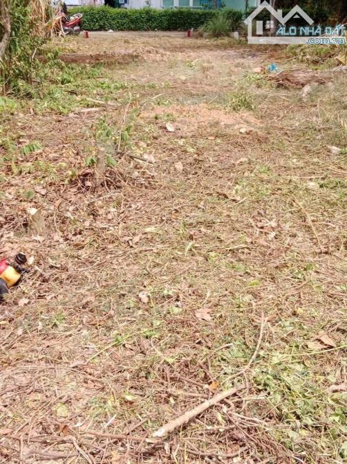 151m đất thổ cư mặt tiền đường Trường Học cách 830 chỉ 200m, cách Cảng quốc tế 10 phút - 3
