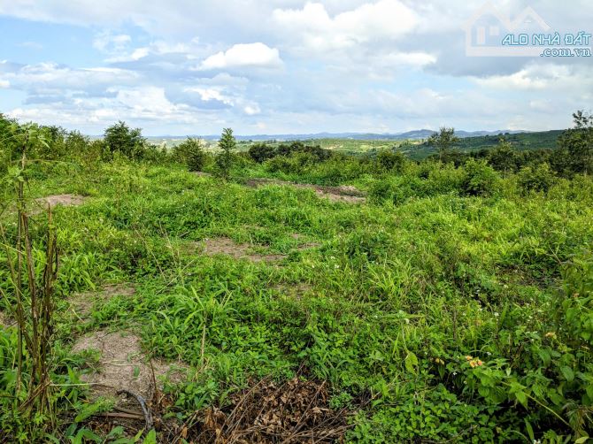 Bán đất vườn View Đẹp tại xã Ninh Gia tỉnh Lâm Đồng,DT : 34.000m2 bán chỉ 8.5 tỷ TL - 1