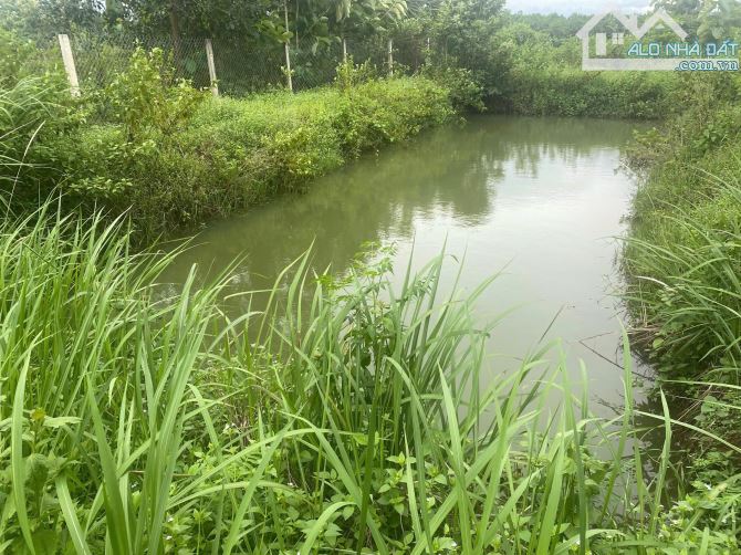 CHỈ 550 TRIỆU SỞ HỮU NGAY 1119m2(15mx75m)  LÔ ĐẤT VƯỜN AO CÁ VEN SÔNG ĐỒNG NAI - 3