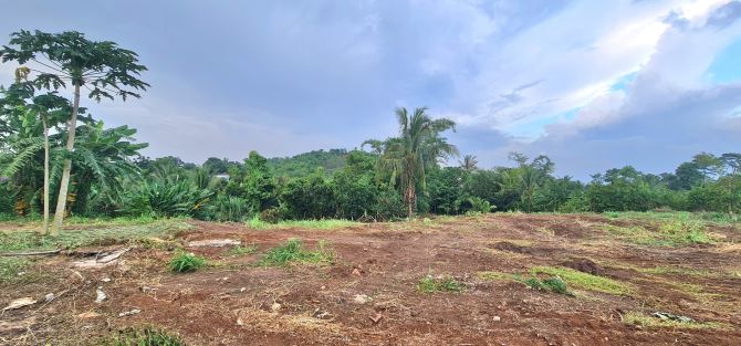 Bán Đất 6.773m2 QH Đất ở, có 300m2 thổ cư, view suối, đồi, trong KDC gần Chợ, Trường Học - 4