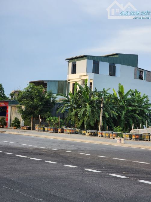 Bán lô đất tại KDT Tân Phú Hưng, P. Thạch Khôi, Hải Dương nay là TP Hải Phòng - 4
