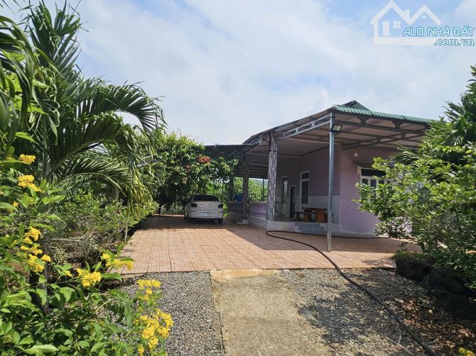 Chủ Định Cư Nước Ngoài Cần Bán Gấp Vườn 3.500m² Gần TP Long Khánh Chỉ 1,9 Triệu/m² - 4