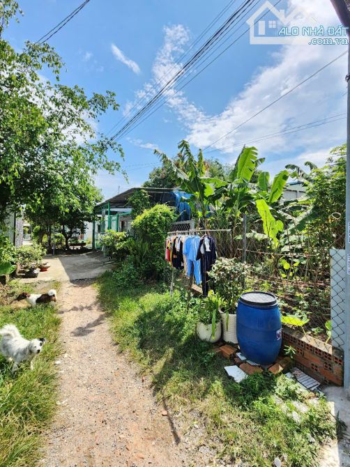 Bán đất 7.5x21m, hẻm Bình Chuẩn 66 p. Bình Chuẩn - 4