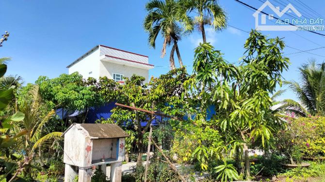 Xả lỗ Bán Gấp lô đất Cát Tường Phú Sinh Đức Hòa Long An 44m2-200tr - 4