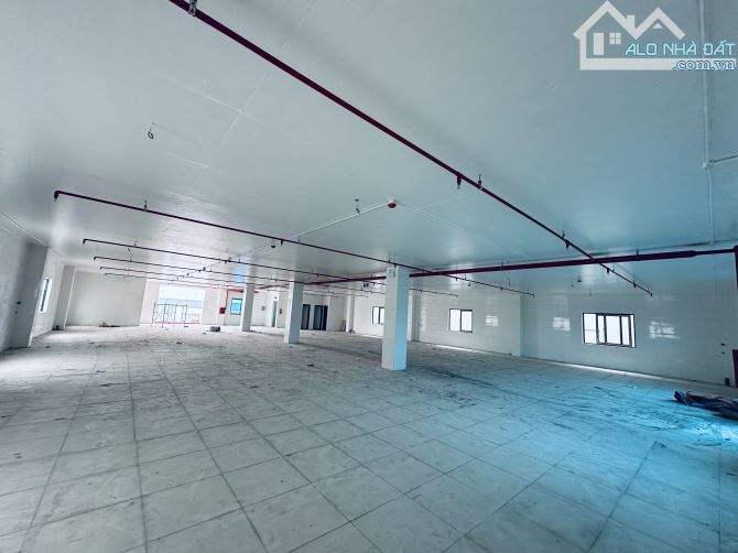 Cho thuê nhà xưởng 3 tầng trong kcn hoài đức PCCC tự động - 4