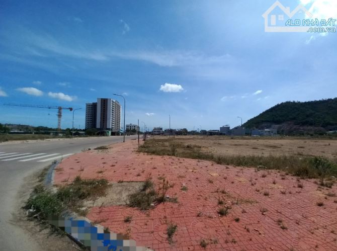 🏠Cần bán gấp lô đất dt 100m2 khu đô Thị mới Long Vân,Phường trần Quang Diệu, TP Quy Nhơn, - 3