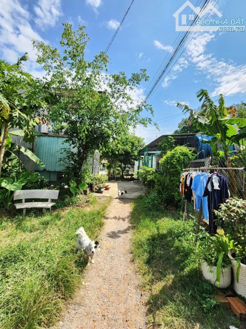 Bán đất 7.5x21m, hẻm Bình Chuẩn 66 p. Bình Chuẩn - 5