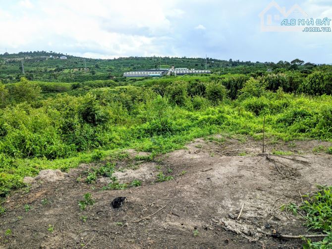 Bán đất vườn View Đẹp tại xã Ninh Gia tỉnh Lâm Đồng,DT : 34.000m2 bán chỉ 8.5 tỷ TL - 3