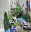 42.x Tỷ /202 M2 / 8 M tiền/ Phân Lô Ô tô chánh