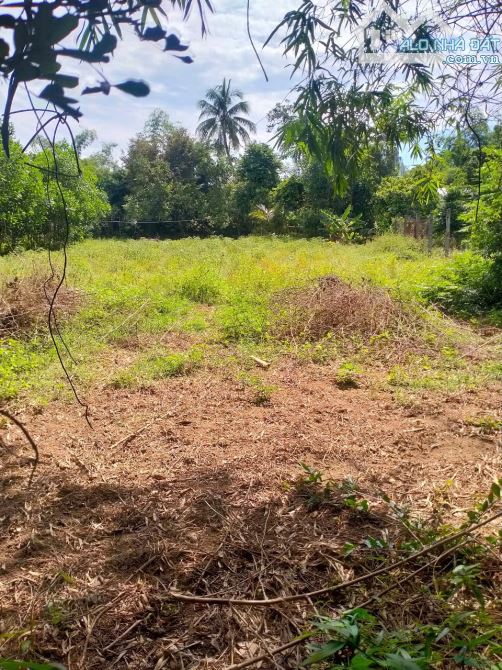 Hơn 200m, 100m đất ở, ngan 8, đường 5m, giá nhỉnh 1 tỏi xíu
