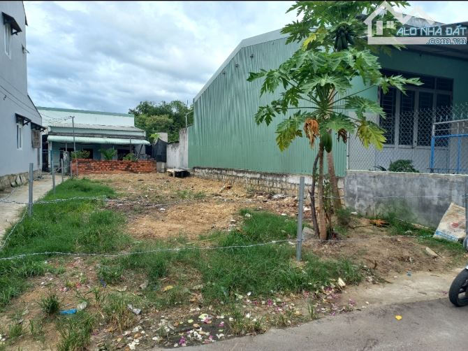 🏠Bán Đất 146m2 Thôn Hưng Nghĩa,Phước Nghĩa,Tuy Phước, Bình Định