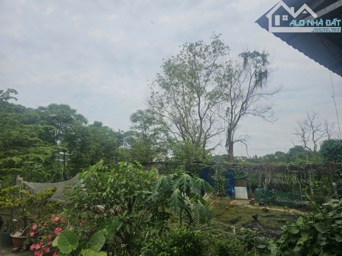 Bán đất thổ cư đường vườn lài phường An Phú Đông quận 12