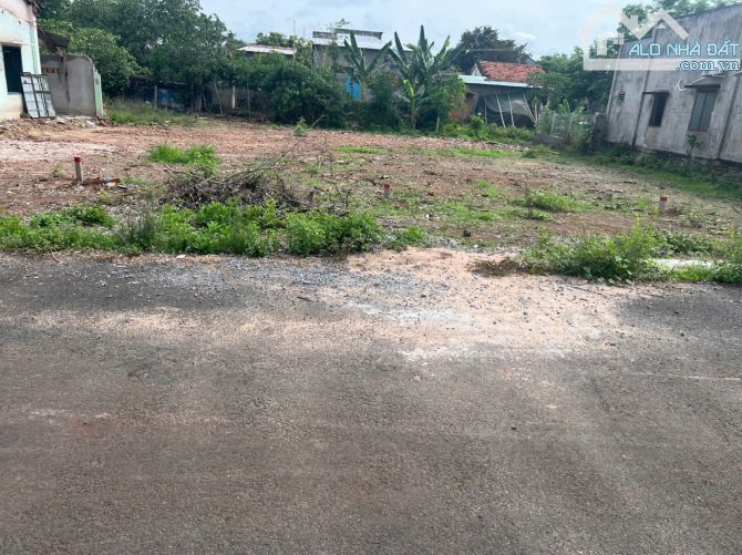 CẦN TIỀN BÁN GẤP LÔ ĐẤT XÃ HÒA HỘI - XUYÊN MỘC ( BRVT)