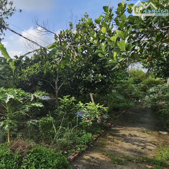 NỀN BIỆT THỰ NHÁNH Đ.BÙI HỮU NGHĨA GẦN CẦU RẠCH CAM, LONG HOÀ, BÌNH THUỶ, Tp.CẦN THƠ