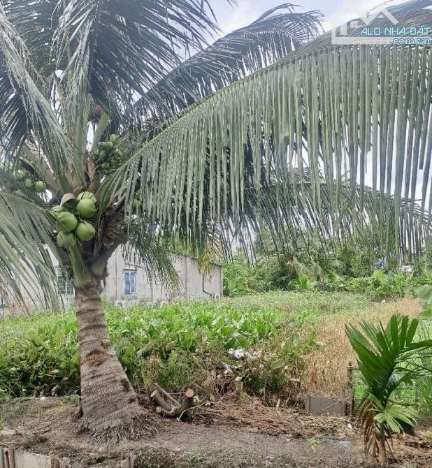 💥💥 ĐẤT FULL THỔ- THẠNH XUÂN 33 ,Q12 - DT 200m2 (7.5x2)-Ô TÔ TỚI ĐẤT- chỉ 7.5 tỷ còn TL