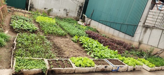 Bán Gấp 77m2 Đất Tại Cổ Nhuế, Bắc Từ Liêm_MẶT NGÕ, MẶT TIỀN 5,5M, Giá Chỉ 12 tỷ TL - 1