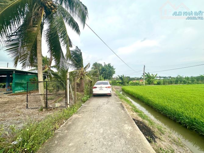 ✅ Bán đất thổ cư mặt tiền lộ làng 6m thuộc ấp 1, Mỹ Phú, Thủ Thừa _ DT: 5.5 x 32m2 - 1