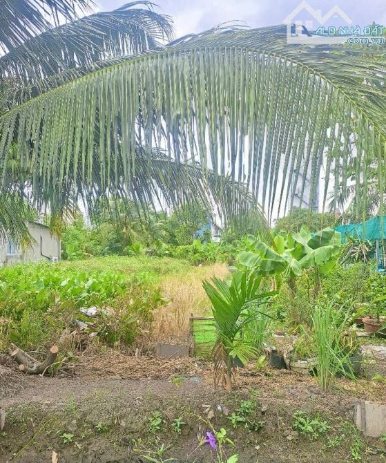 💥💥 ĐẤT FULL THỔ- THẠNH XUÂN 33 ,Q12 - DT 200m2 (7.5x2)-Ô TÔ TỚI ĐẤT- chỉ 7.5 tỷ còn TL - 1