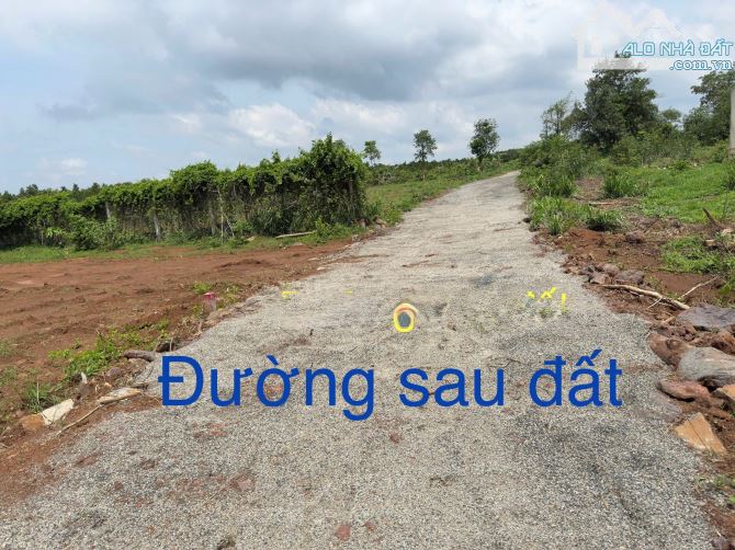 🌈🌈🌈 BÁN ĐẤT SẴN NHÀ CẤP 4 LONG TÂN-LONG ĐẤT-BRVT 💥Gần 1sào ( 988m2 ) -👉2 Mặt Tiền trư - 2