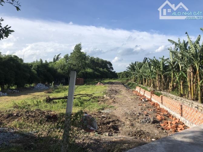 Phước Hải- trục chính mặt tiền kinh doanh- ngay ngã tu tỉnh lộ 44b-dt:390m2-10mx39m-73 tc - 2