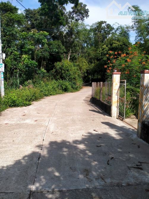 Hơn 200m, 100m đất ở, ngan 8, đường 5m, giá nhỉnh 1 tỏi xíu - 2