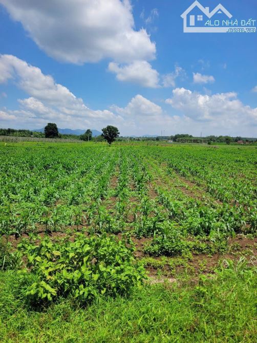 Cần bán 2.5ha đất mặt tiền DT992, ngang đến 140m tại Đá Bạc, KDC hiện hữu - 2
