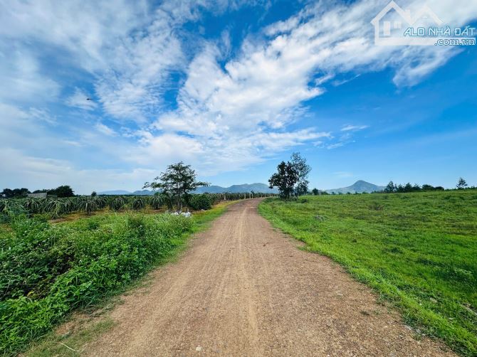 Bán 11.1 hecta đất  Tân Nghĩa - Hàm Tân giá ngộp chỉ 1.43 tỷ/ hecta đường 6m - 2