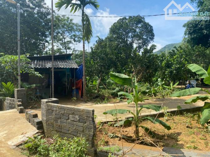 1000m Có 250m Đất Ở - Bám Đường Bê Tông To 33m Sâu 30 - Vuông Văn - Phân Lô Đẹp - 2