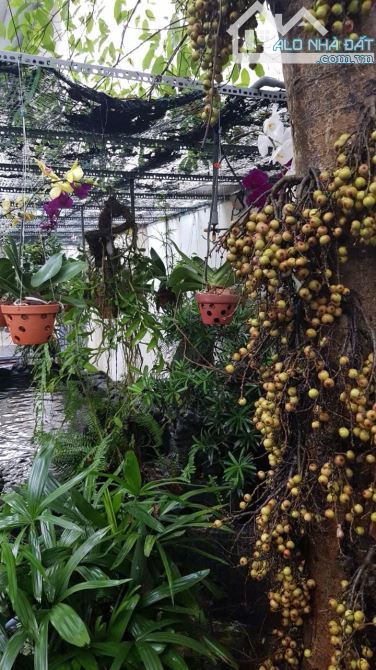 Bán đất dự án Đông Thủ Thiêm đường Nguyễn Duy Trinh Quận 2 cũ nền F8 (281 m²) 117.5 tr/m² - 2