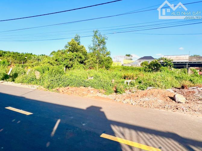 Đường Nguyễn Đình Chiểu- Thị Trấn Đất Đỏ-BRVT giá rẻ - 3