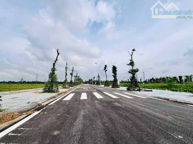 CHÍNH CHỦ GỬI BÁN LÔ ĐẤT VÀNG BÌA LÀNG BIỂU KHÊ – THỤY LÂM- ĐÔNG ANH - 3