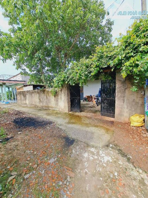 Bà Điểm (XTT- Hóc Môn) bán 550m2 đất tặng nhà cấp 4 gần Nguyễn Văn Bứa giá 8,9tỷ. - 4