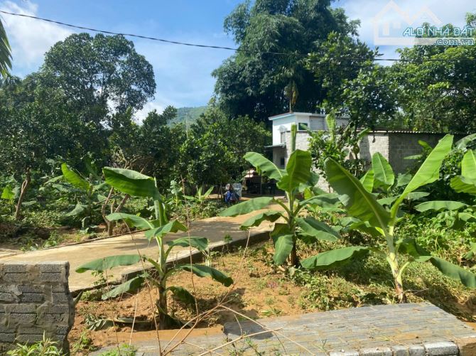 1000m Có 250m Đất Ở - Bám Đường Bê Tông To 33m Sâu 30 - Vuông Văn - Phân Lô Đẹp - 4