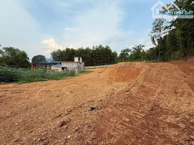 1300m Có 200m Đất Ở - Sát Dự Án Cáp Treo Sun Gruop - View Cánh Đồng - 4
