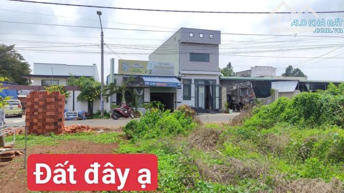 Đường Nguyễn Đình Chiểu- Thị Trấn Đất Đỏ-BRVT giá rẻ - 5