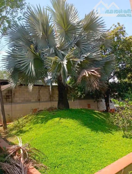 Biệt Thự Sân Vườn Phường Bửu Long .Diện tích : 1.850m2. Gần Bờ Kè Sông ĐỒNG NAI - 6